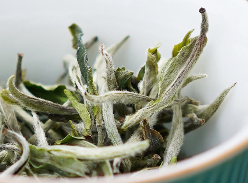 Bai mu dan popular chinese white tea